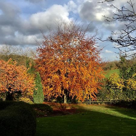 Valley View Farm, Batcombe Bed & Breakfast Shepton Mallet Dış mekan fotoğraf