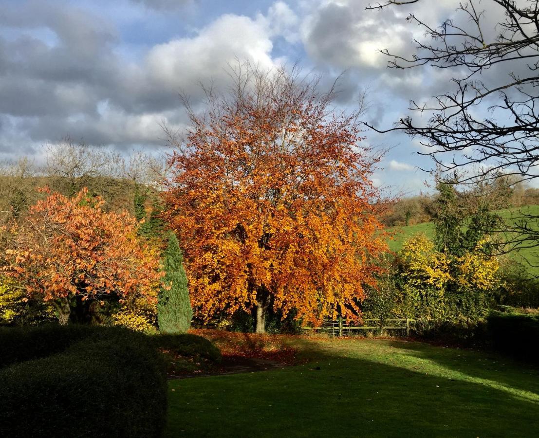 Valley View Farm, Batcombe Bed & Breakfast Shepton Mallet Dış mekan fotoğraf